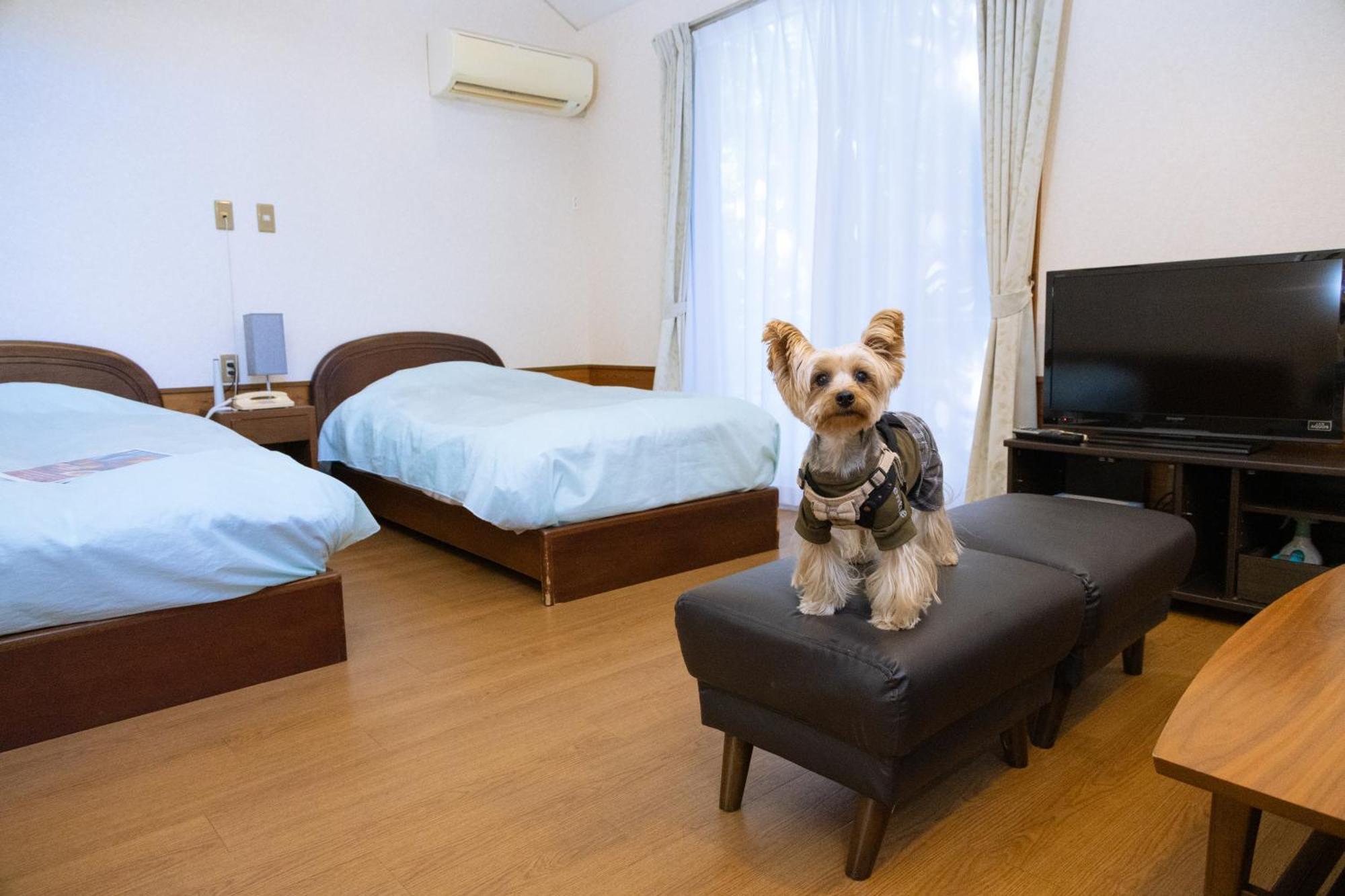 เลเนสซา อกาซาวะ 4*