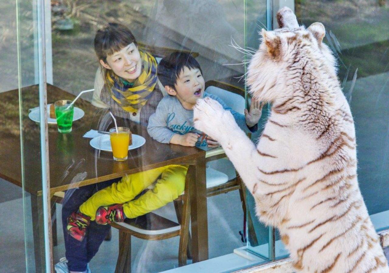 เลเนสซา อกาซาวะ อิโตะ